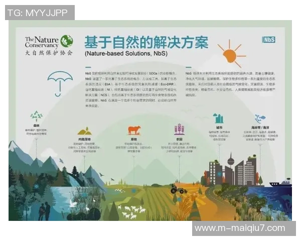 实时新闻科学攀岩战术训练方法探讨与实践提升技巧与安全保障